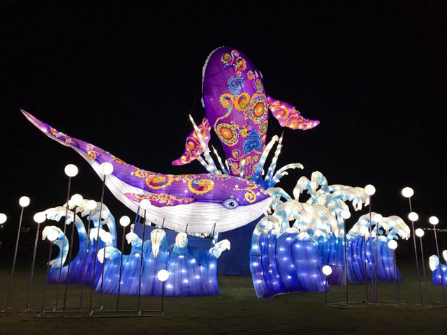 自贡灯会精品灯组