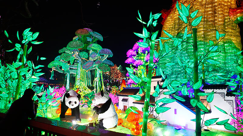 自贡彩灯景观 自贡彩灯 景观彩灯