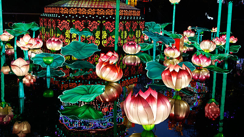 自贡花灯,自贡灯会,彩灯精品,