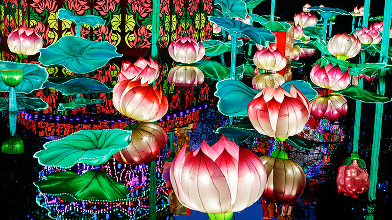 自贡花灯,自贡灯会,彩灯精品,