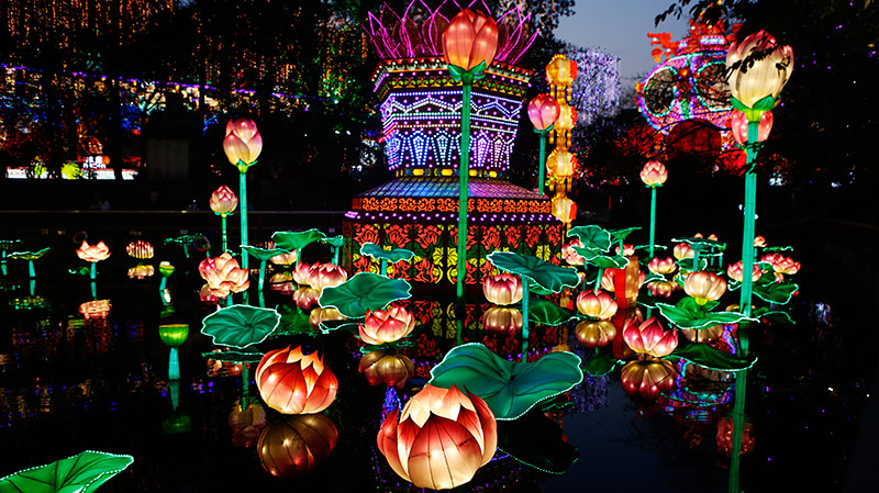 自贡花灯,自贡灯会,彩灯精品,