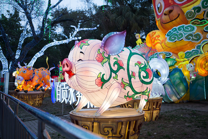 花灯制作,生肖花灯,