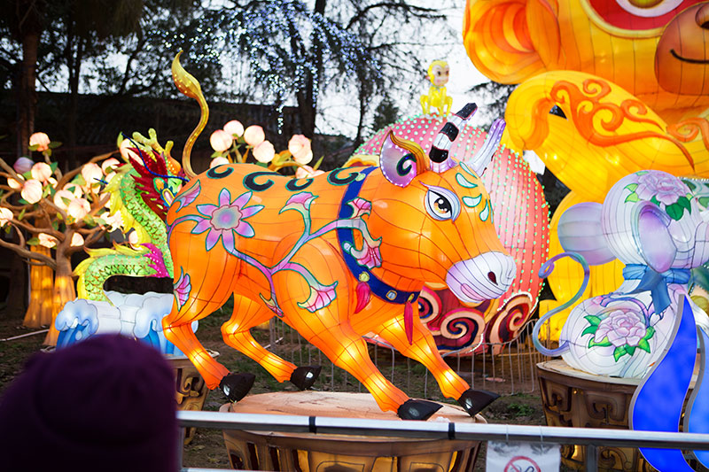 花灯制作,生肖花灯,