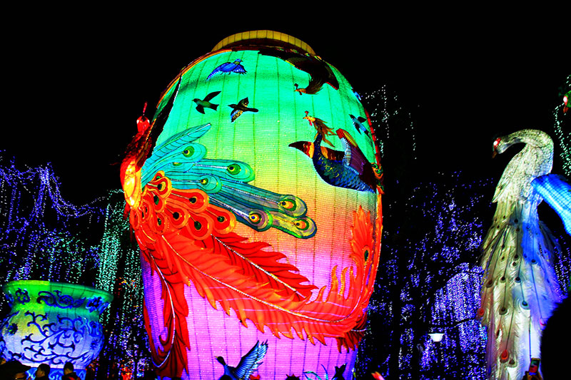 彩灯制作，春节自贡彩灯，