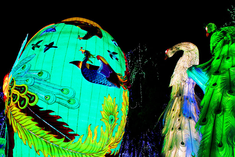 彩灯制作，春节自贡彩灯，