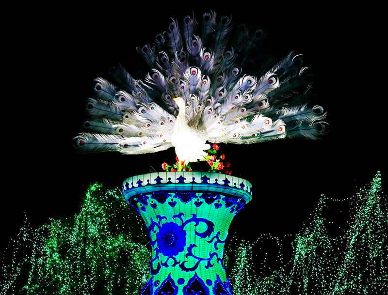 彩灯制作，春节自贡彩灯，