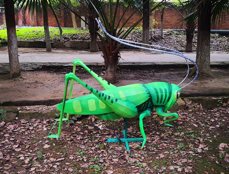 蝗虫彩灯定制，彩灯定制，