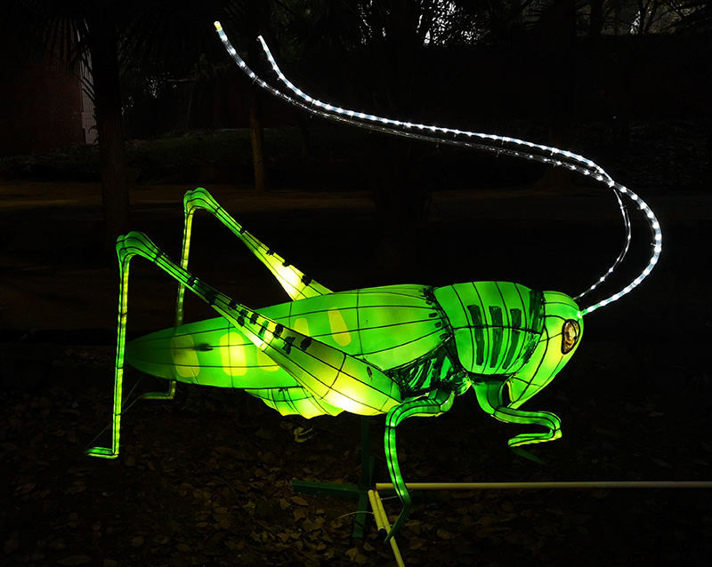 蝗虫彩灯定制，彩灯定制，