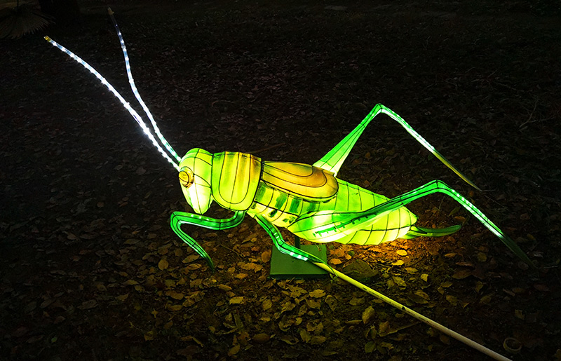 蝗虫彩灯定制，彩灯定制，