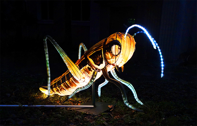 蝗虫彩灯定制，彩灯定制，