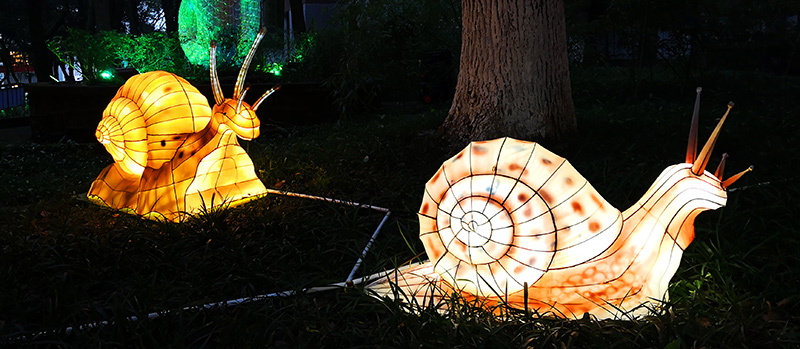 蜗牛花灯制作，昆虫花灯，