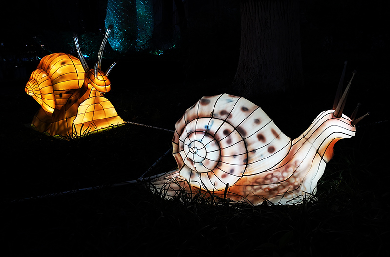 蜗牛花灯制作，昆虫花灯，