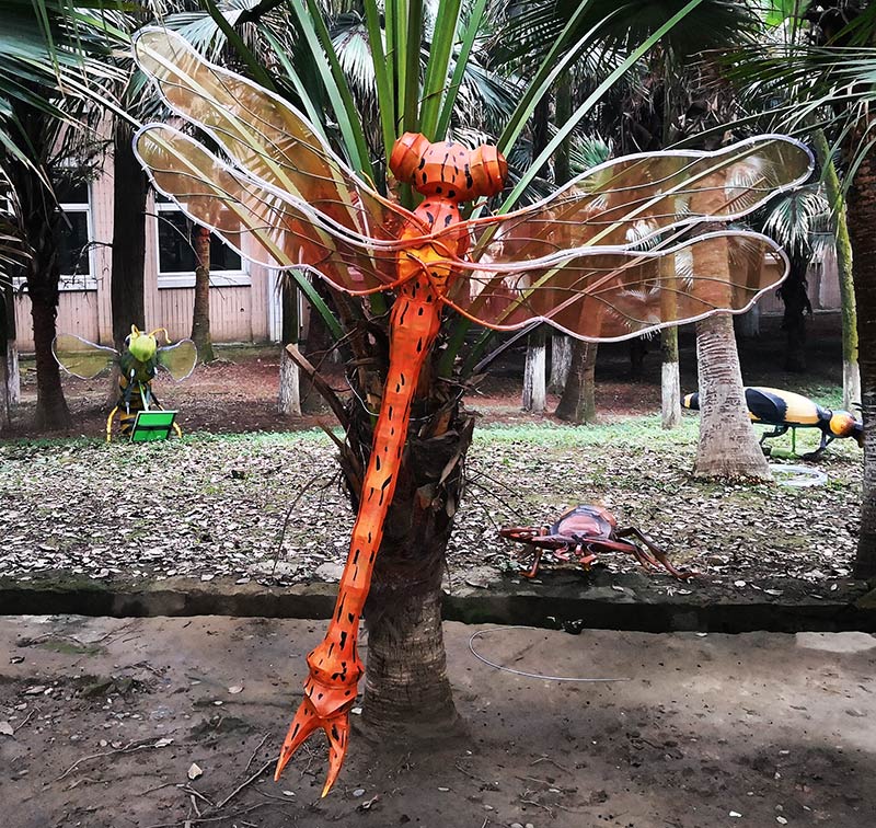 蜻蜓彩灯，昆虫彩灯制作，