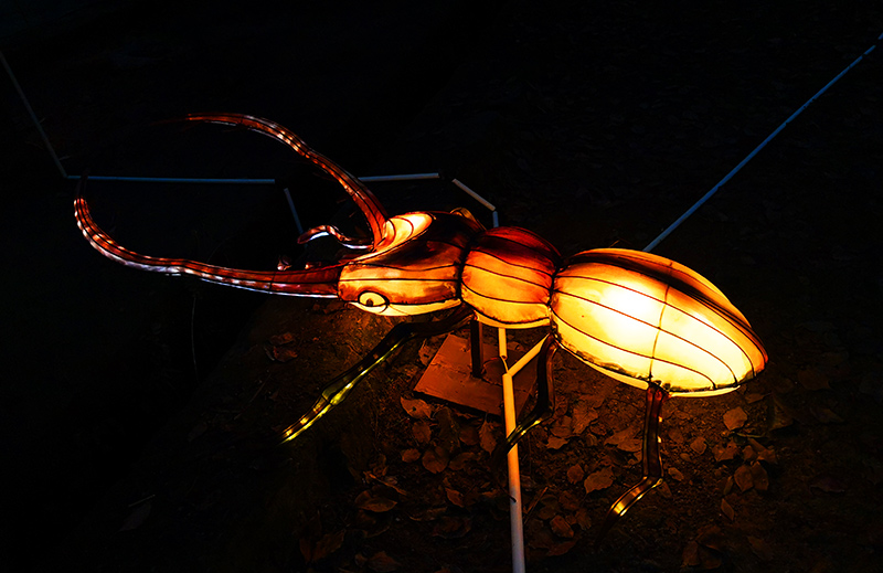 甲虫彩灯，彩灯制作，