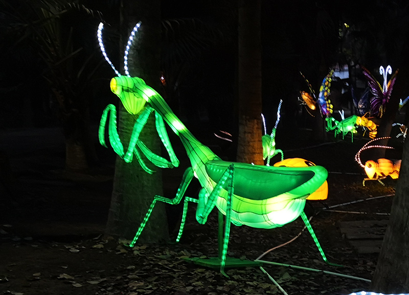 螳螂彩灯，昆虫彩灯，