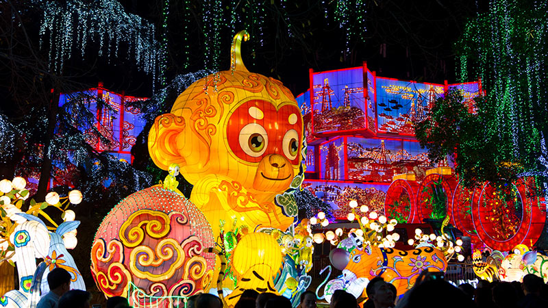 彩灯大世界，彩灯制作，彩灯，