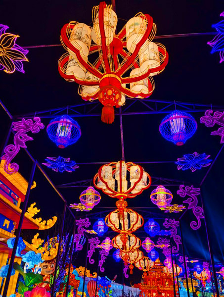 2020自贡灯会赏析——精品廊灯