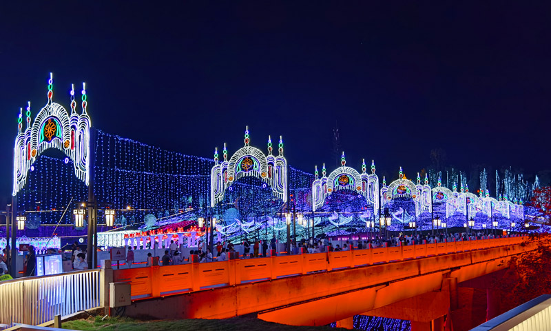 2020自贡灯会赏析——精品廊灯